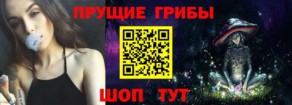 Галлюциногенные грибы прущие грибы  Вход с VPN  Будённовск 
